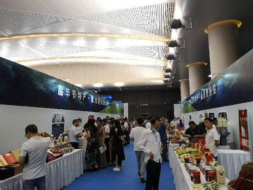 畢節市來渝舉行旅游推介會 景區升級、門票優惠、精品線路促旅游發展