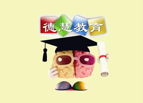 慈溪德慧教育 以專業(yè)資訊搭建成長橋梁